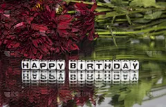 生日,仅一朵花,叶子,绿色,红色,美,贺卡,水平画幅,消息,花束