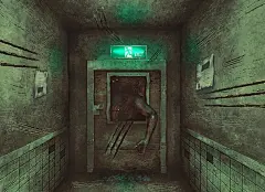 香豆素插画图片壁纸