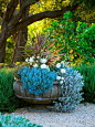 AMAZING SHOW POTS : Margie Grace creates amazing outdoor pots. We call them SHOW POTS. They add drama and color to all areas of the garden. Create a great focal point in your garden!