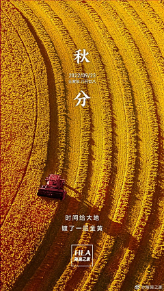 青枝寄雪采集到字体设计、海报创意