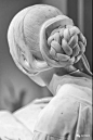 经典雕塑 | 读书的女人最美 : 美国国家美术馆的雕塑作品《读书女孩》是由意大利雕塑家PietroMagni（1817-1877）于1862年创作的。姑娘的裙裾自然垂泻；赤裸的手臂、脚面光洁无疵；躯体部分曲线的舒展、简洁、完美，透视着人性的质朴、纯真、生动。