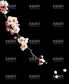 梅花桃花PNG   - 源文件下载【酷图网】梅花桃花PNG,水墨梅花,中国风梅花,清新梅花,腊梅,手绘梅花,桃花,樱花,花卉,梅兰竹菊,花草,海报背景,工艺插画,传统文化,广告设计,PNG免扣素材,