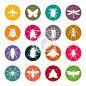 Insects icon set #昆虫#