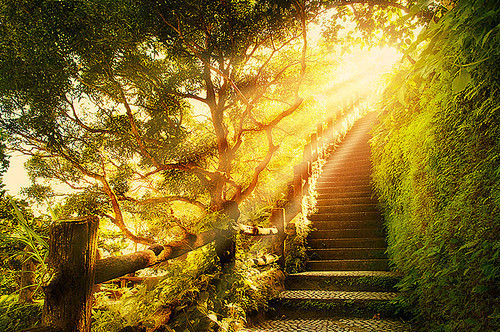 克罗地亚，十六湖国家公园，阳光楼梯。
