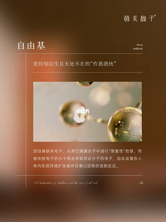 双抗新势力|宣战暴动及肤的万恶之源