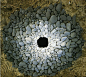 Andy Goldsworthy - art 艺术 - 汉诺森