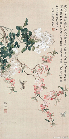 天真小尼姑采集到国画