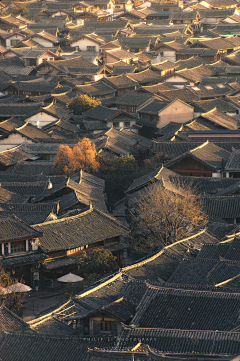 听说、、巷尾的樱花开了采集到中式