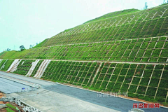 1iZgOU6v采集到台地景观