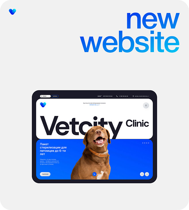VETCITY