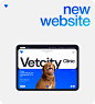 VETCITY