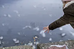 水,鸟类,女孩,美,青少年,留白,四肢,水平画幅,旅行者,白人