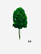 木本植物高清素材 免费下载 页面网页 平面电商 创意素材 png素材