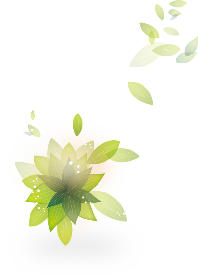 免扣背景PNG素材#叶子#