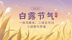 白露节气祝福芦苇手绘横版海报