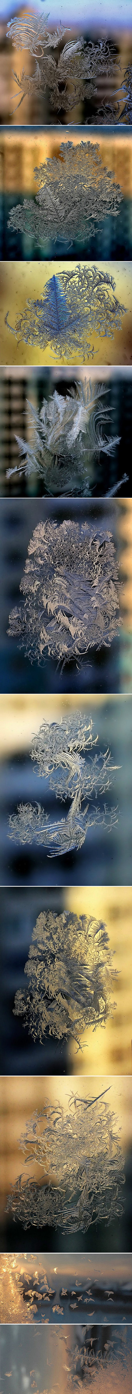 大自然的冬季馈赠，自然形成的冰晶窗花，南...