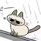 超级可爱的暹罗猫猫（豆泥）表情包