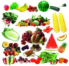 水果  - 源文件下载【酷图网】水果,水果图片,蔬菜,新鲜水果,水果展架,水果集合,水果矢量,水果大全,手绘水果,卡通水果,水果堆,水果广告,创意水果,水果促销,水果海报,水果素材,水果蔬菜,各种水果,水果拼盘,蔬菜水果,水果图,水果背景,一篮水果,柿子,杨桃,橙子,苹果,梨,香蕉,芒果,草莓,猕猴桃,杏子,樱桃,菠萝,设计