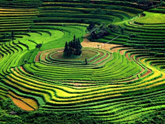 Bo大胖小胖采集到风景