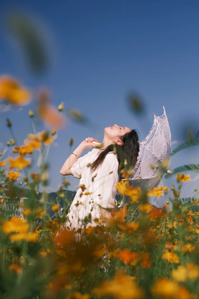法式油画风花海少女丨约拍