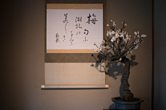 荼蘼1995采集到小屋