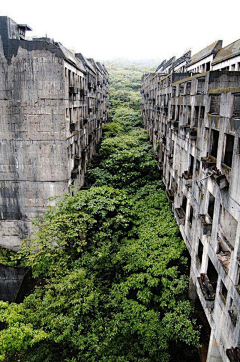 二三三三33采集到废土场景