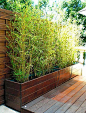 花园竹子合集：竹子在中式庭院中美翻了，靠竹子撑起别墅花园的美