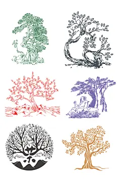 古树白茶茶老树红茶普洱茶-众图网