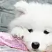 沫宝贝儿