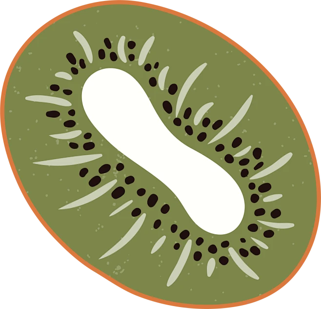 beach object 48-花瓣网