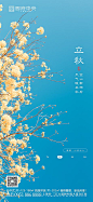 【源文件下载】 海报 二十四节气 立秋 树枝 82366