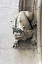 建筑外部,中世纪时代,怪兽饰,柏林墙,部分,法国,复古风格,动物,哥特式风格,吐火兽