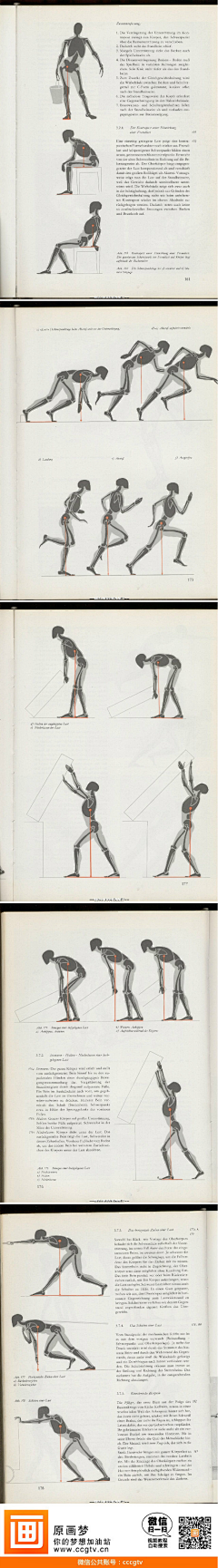 BC336采集到ANATOMY-1