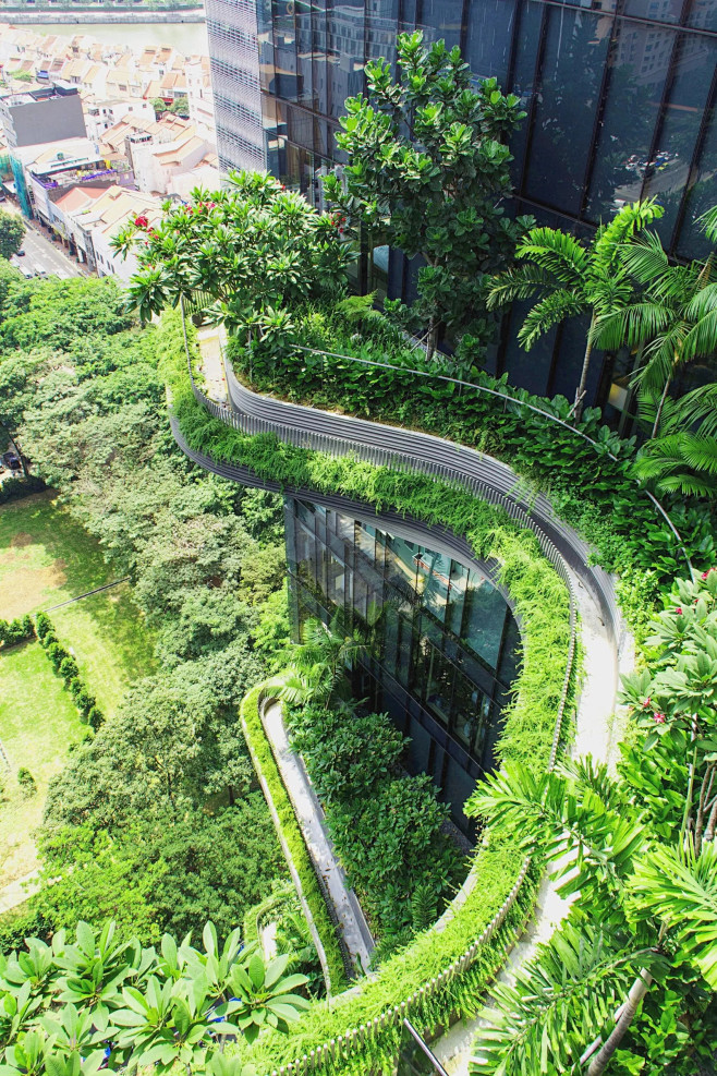 新加坡皮克林宾乐雅花园酒店 / Tier...