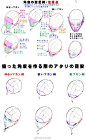 干货！头部构造分析和透视  
作者：漫画素材工房  ​​​​