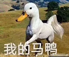 沙雕表情包