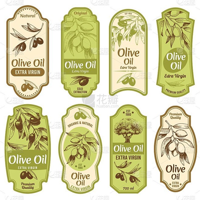橄榄油标签。特级初榨油，黑橄榄枝与叶和手...