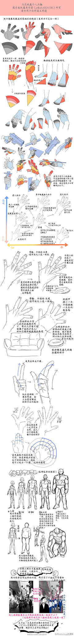 Hydekyll采集到插画教程