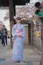 #日本京都##樱花##和服# 摄影@飘雪幻幻 有两张是凑数的