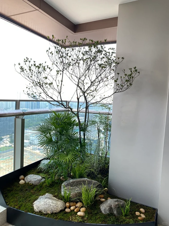 深圳阳台绿植花箱布置中式意境植物造景分享-花瓣网