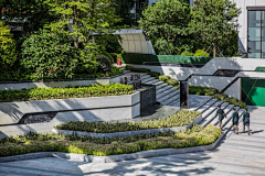 20Chan采集到草阶