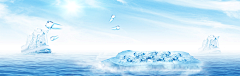 阿兴小朋友采集到banner