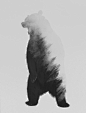 Roaring Bear (black & white version) Art Print: 