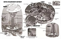 L²栗栗子的小森林采集到zoo