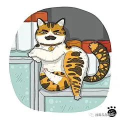 插画丨猫咪的百种迷惑行为大赏，我等凡人真的看不懂猫主子的想法啊 (2)