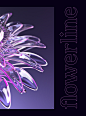 Flowerline : flowerline 