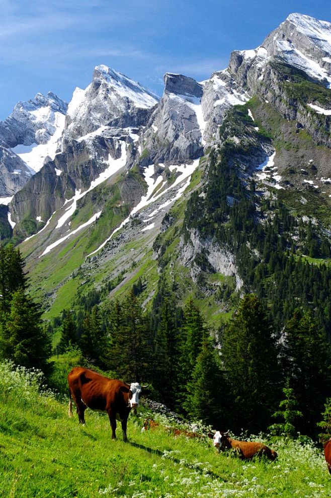 上萨瓦省 法国阿尔卑斯山