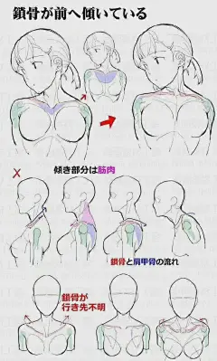 肩膀教程 ​​​​