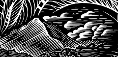 2000米高原红茶插画-古田路9号-品牌创意/版权保护平台