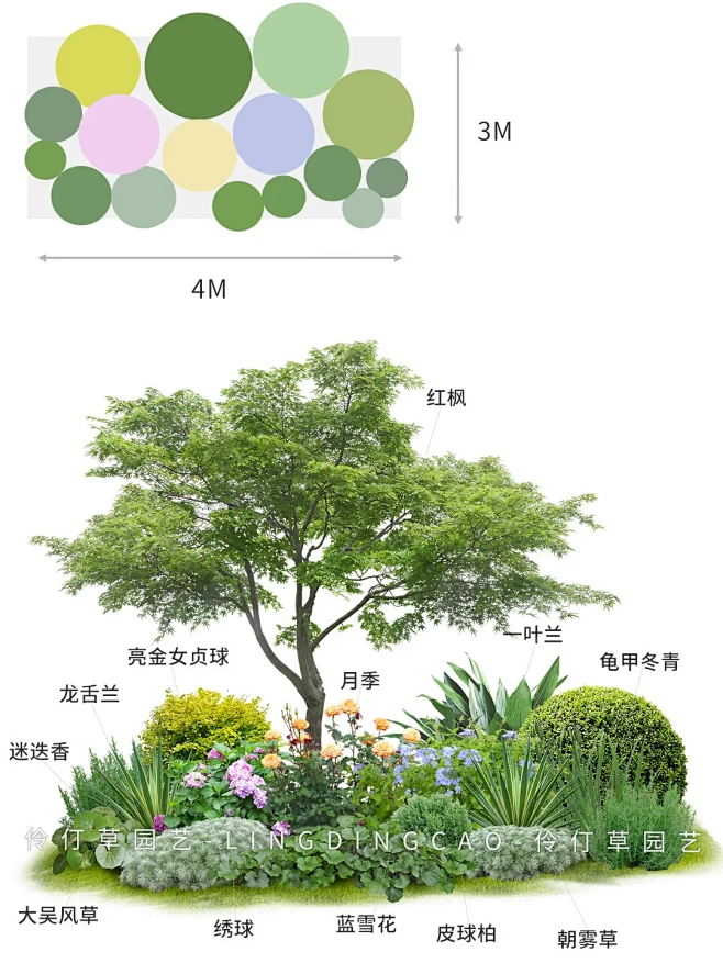 超实用 ️春季组合花境造景｜含植物配置 - 小红书